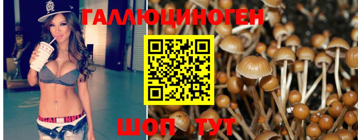 Псилоцибиновые грибы Psilocybine cubensis Можга